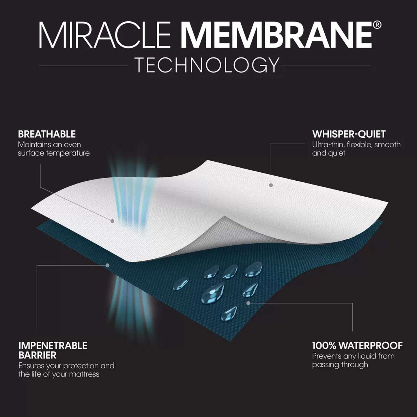 Allerzip Zippered Pillow Protector