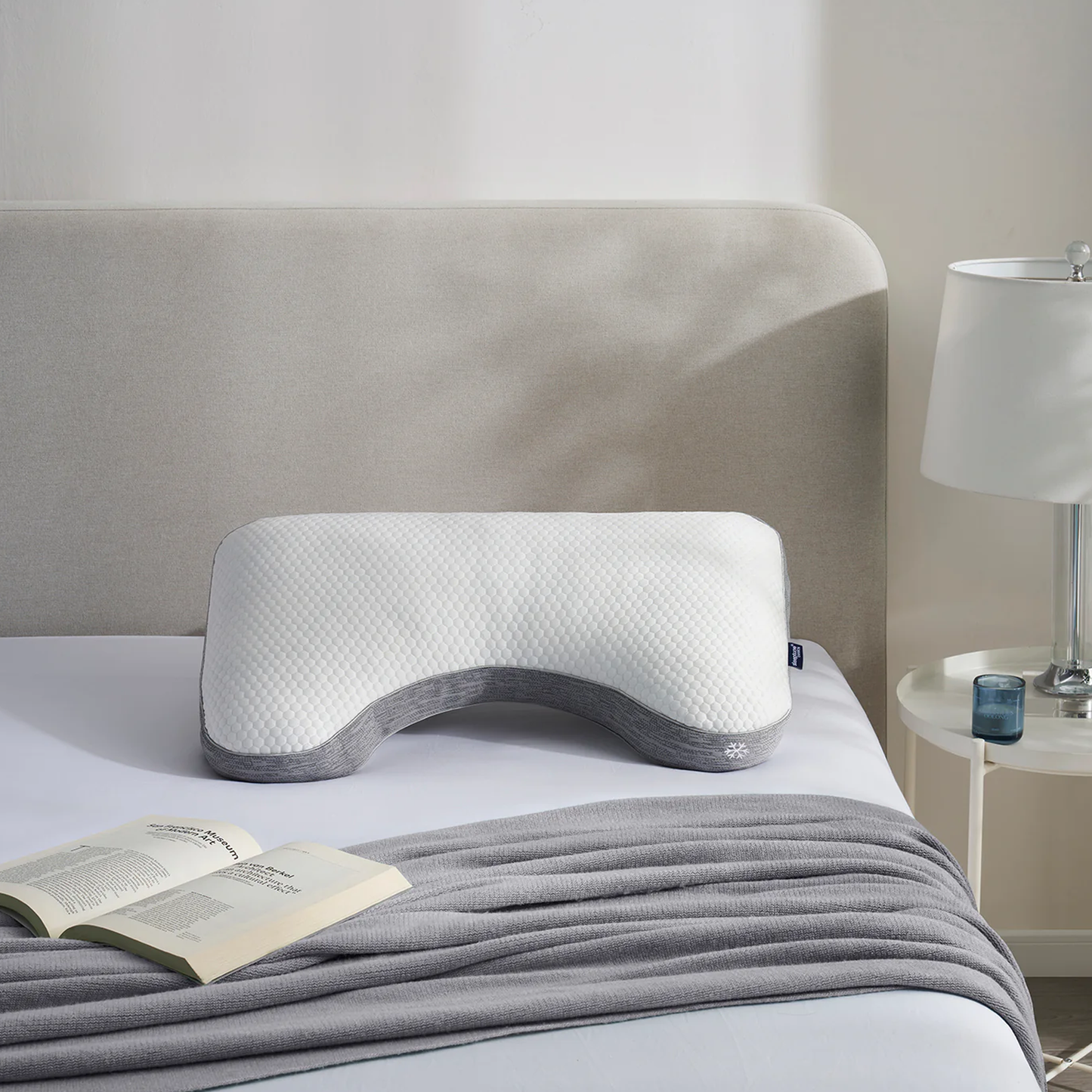 Cooling Curve Queen Pillow