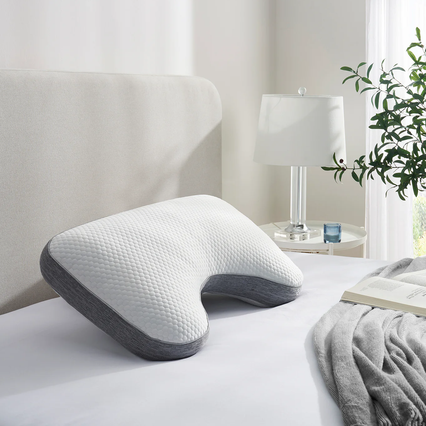 Cooling Curve Queen Pillow